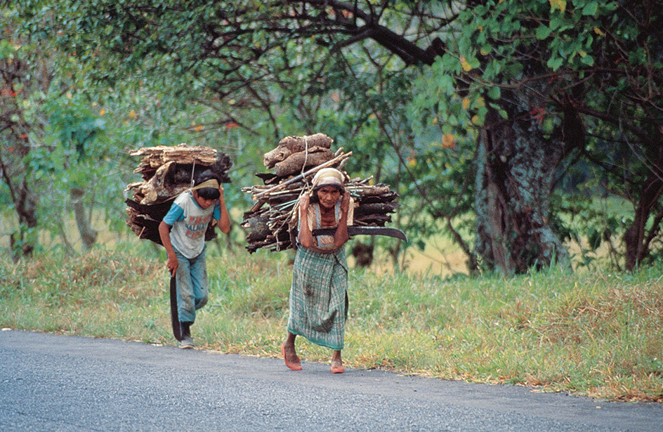 Carrying wood