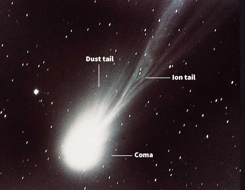 Halley's Comet