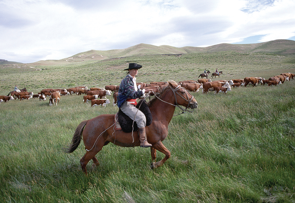 Argentina's fertile Pampas