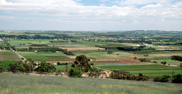 Barossa Valley