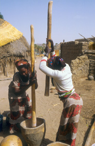 Nigerien women beating corn