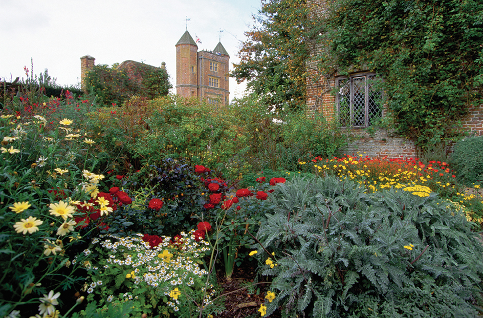 Cottage garden