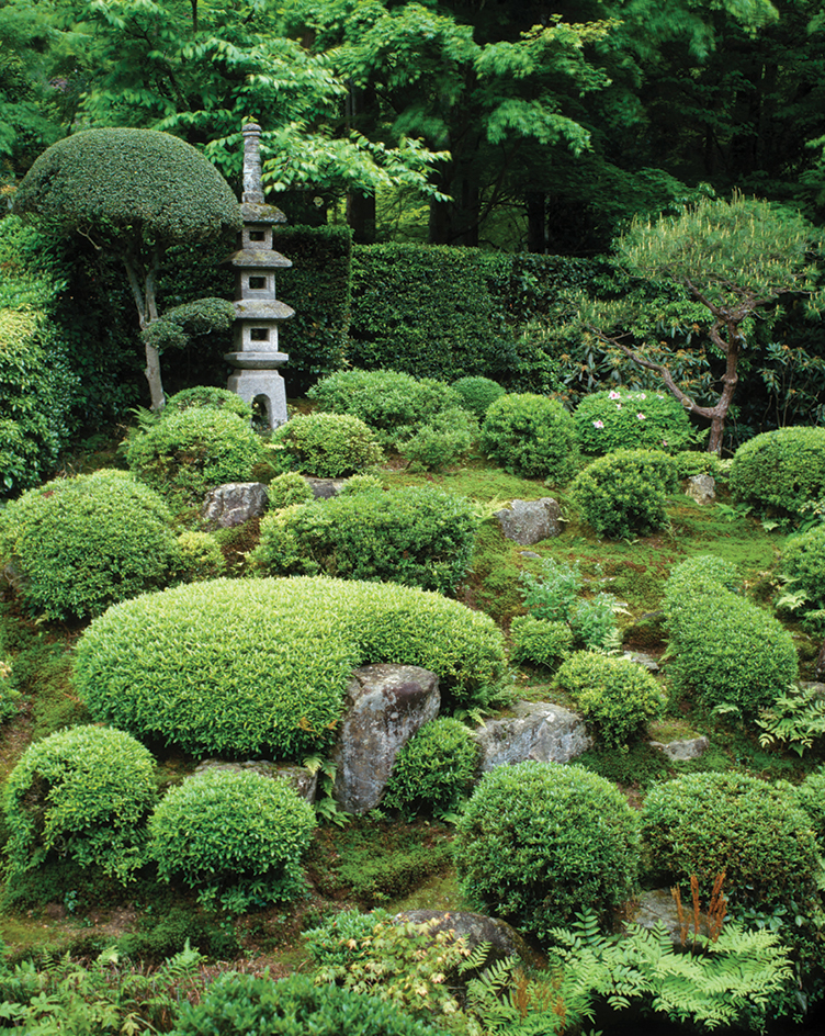 Japanese garden