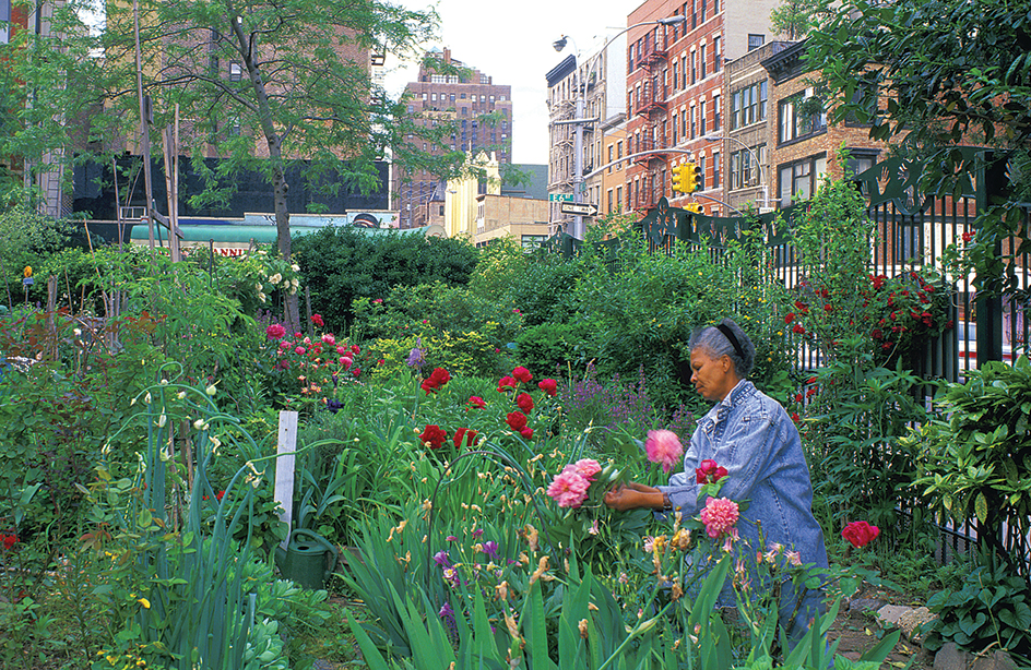 Flower garden