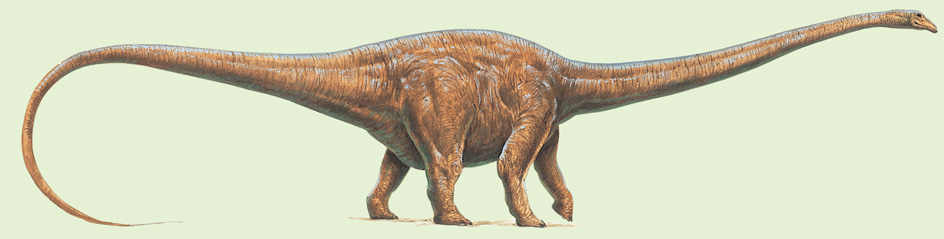 Seismosaurus