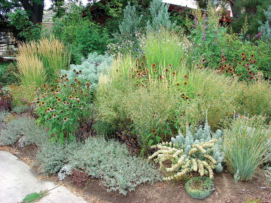 Xeriscaped garden