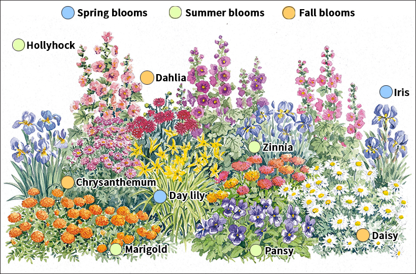 How to plan a flower garden