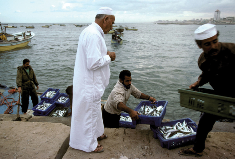 Fisherman in Gaza