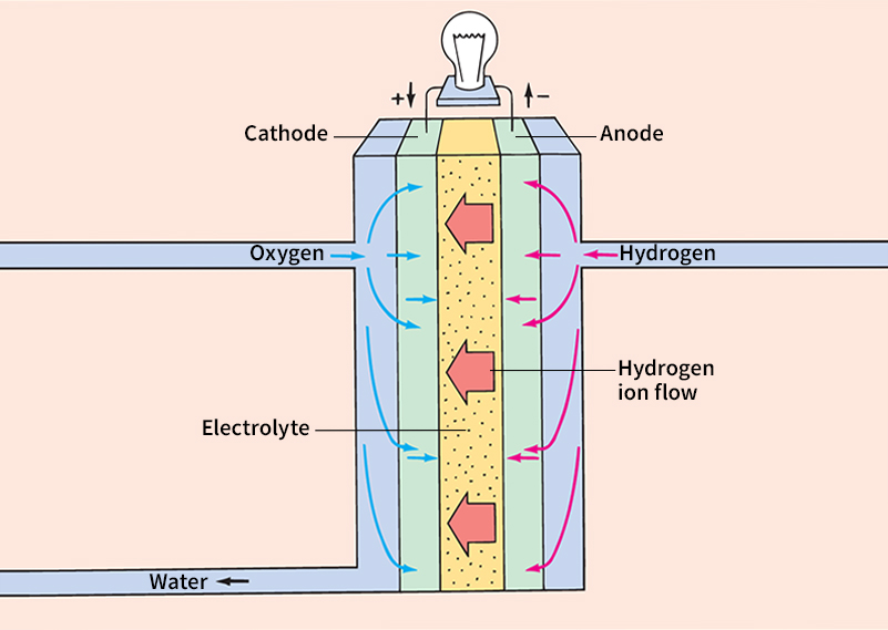 Fuel cell