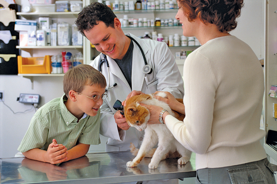 Regular checkups with veterinarians