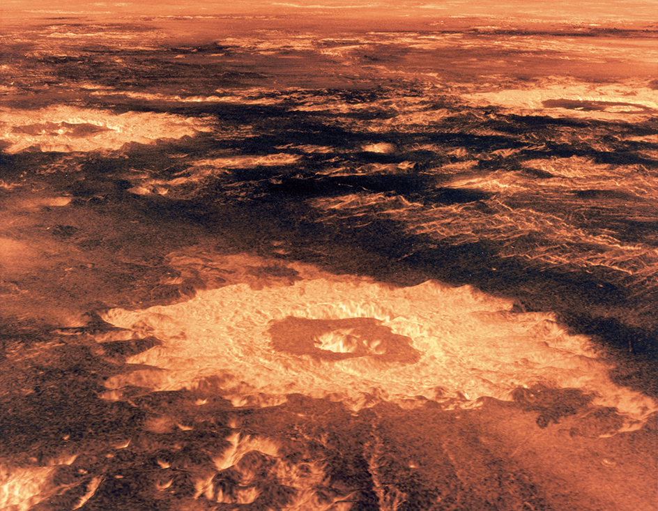 Impact craters on Venus