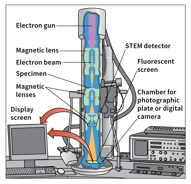 Transmission electron microscope