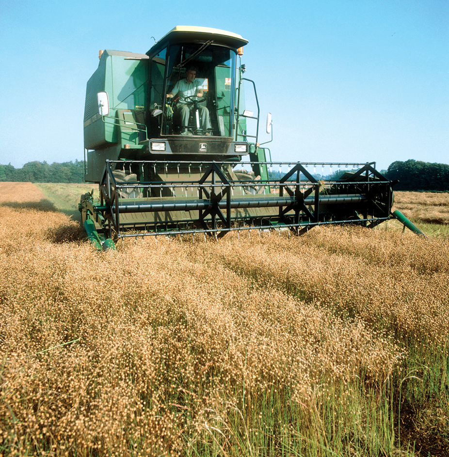 Flax harvest