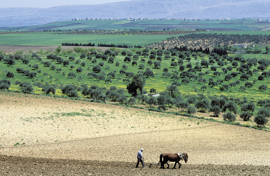 Countryside near Aleppo, Syria