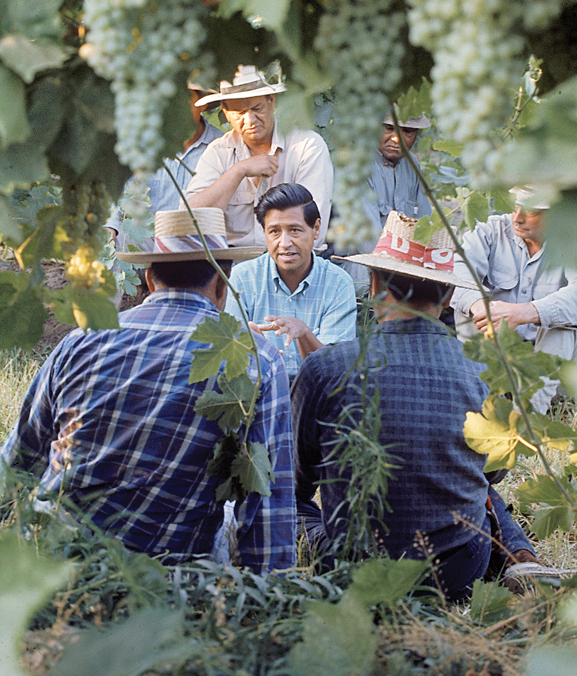 Cesar Chavez, Mexican American labor leader