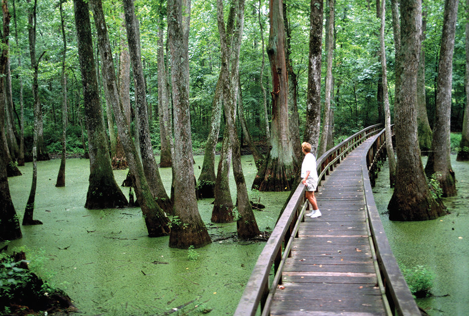 Natchez Trace Parkway