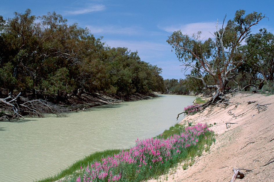 Darling River