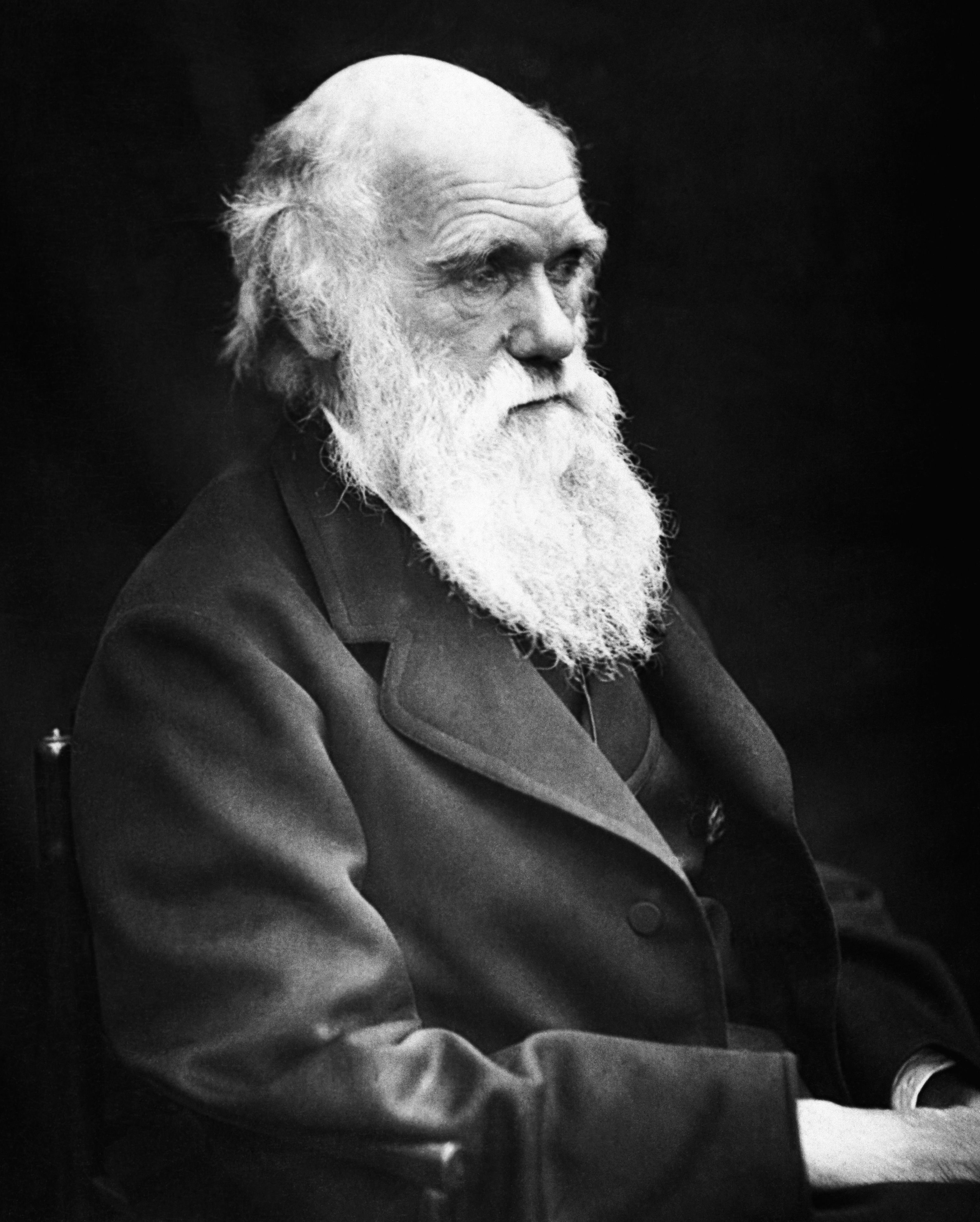 Charles Darwin