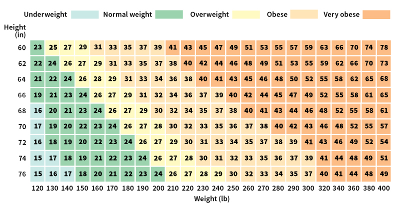 Body mass index chart