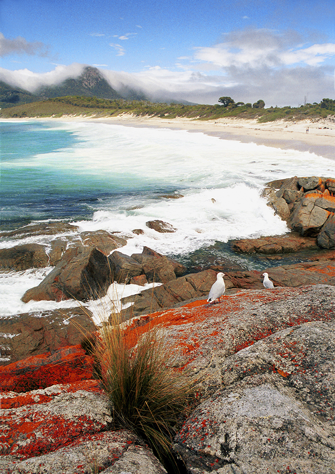 Wineglass Bay in Tasmania, Australia