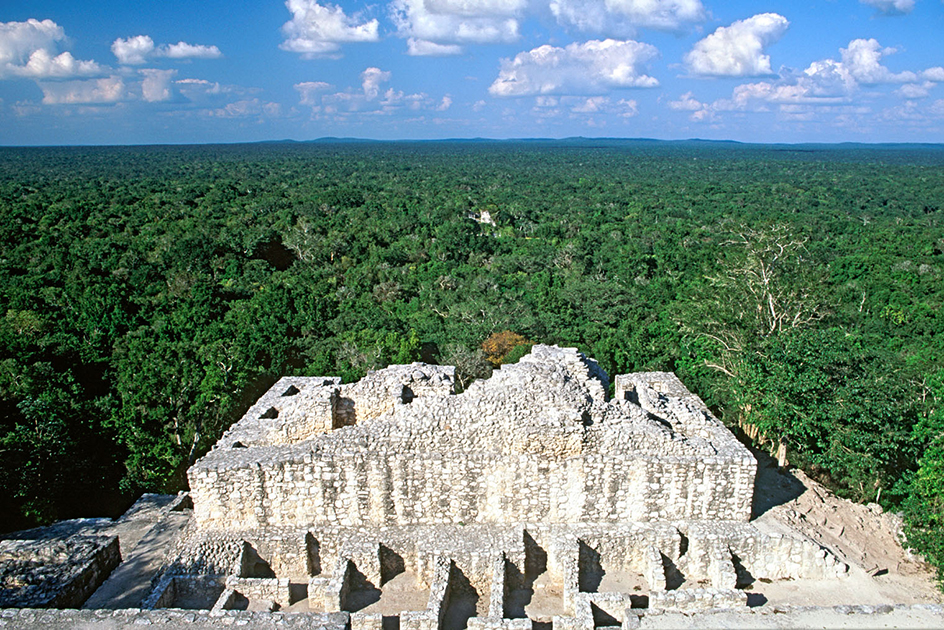 Calakmul Mayan ruins in Campeche