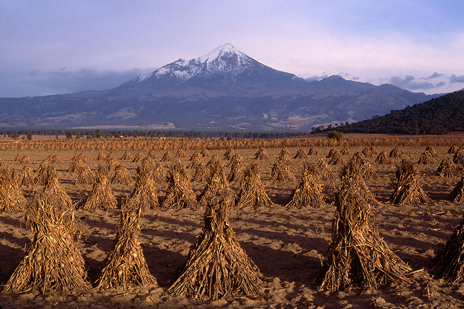 Agriculture in Puebla, Mexico