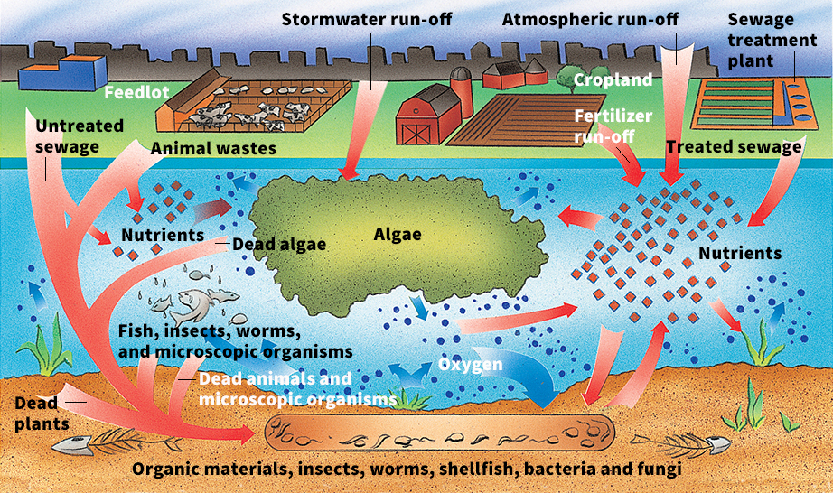 How water pollution occurs