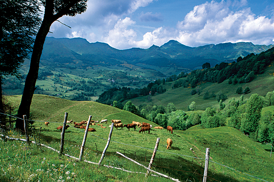 Monts du Cantal in central France