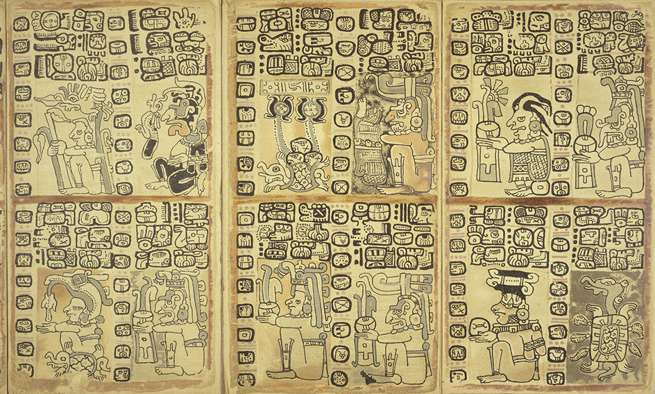 Maya codex