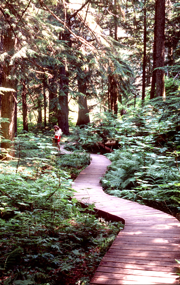 Mount Revelstoke National Park