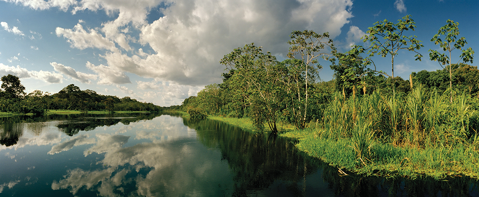 Río Dorado