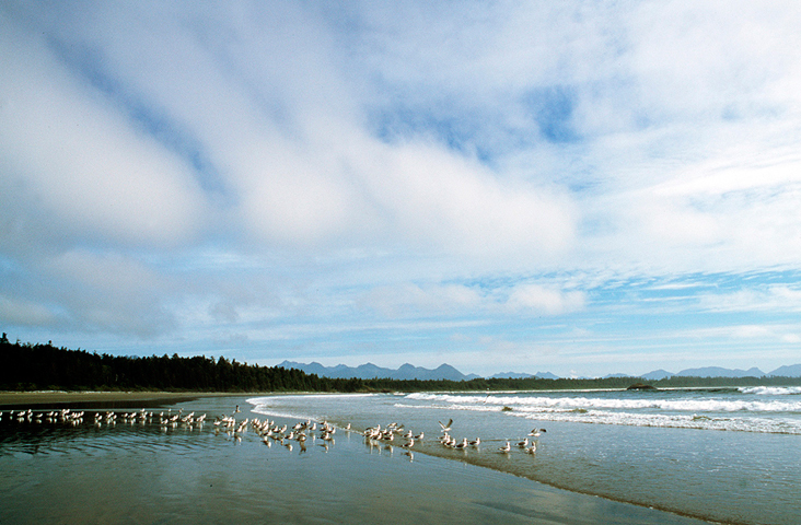 Pacific Rim National Park Reserve