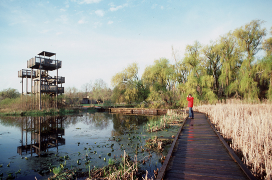 Point Pelee National Park