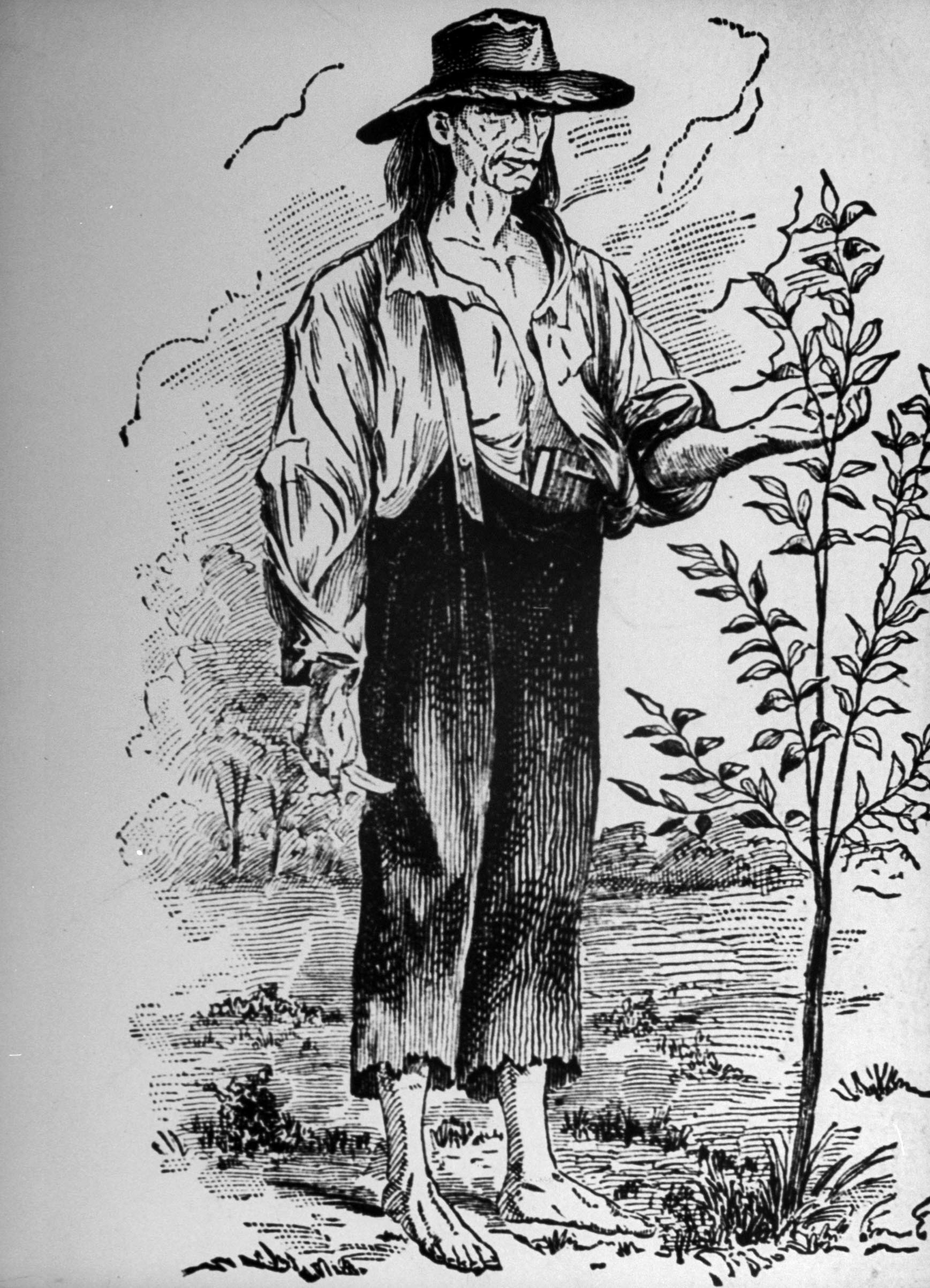 Johnny Appleseed