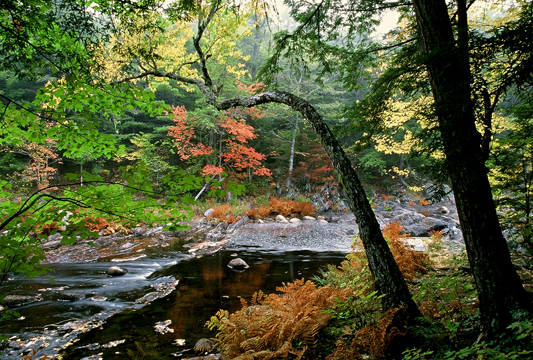 Kejimkujik National Park and National Historic Site