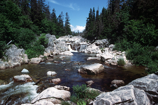 Fundy National Park