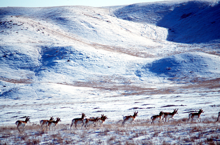 Grasslands National Park