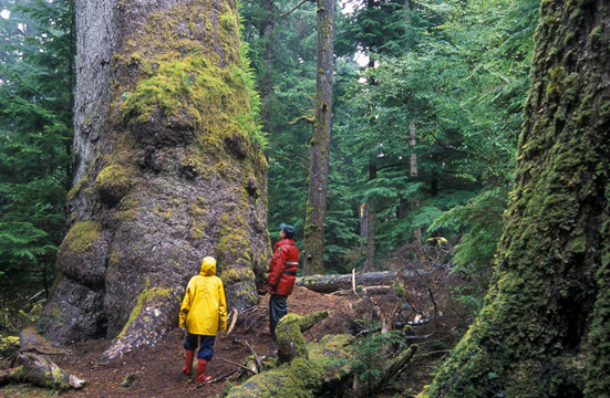 Gwaii Haanas National Park Reserve, National Marine Conservation Area Reserve, and Haida Heritage Site