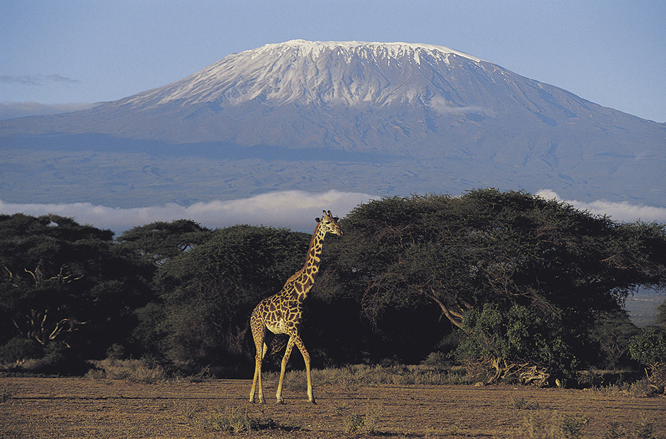 Kilimanjaro National Park