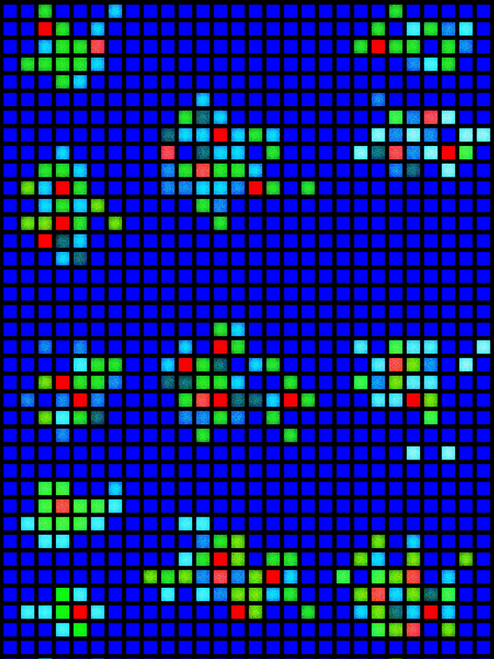 DNA biochip