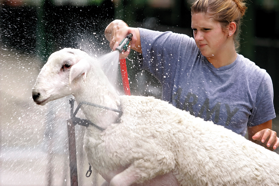 Illinois State Fair