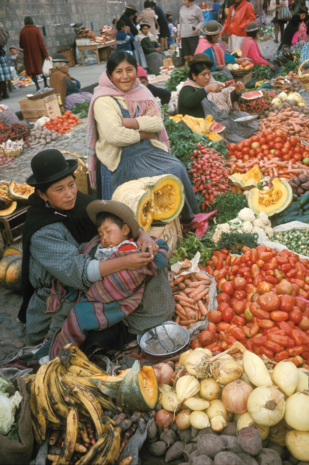 Indigenous women in La Paz market