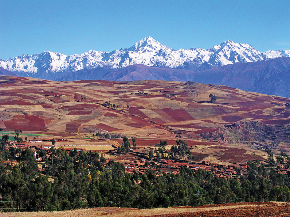 Fields in the Altiplano, Bolivia