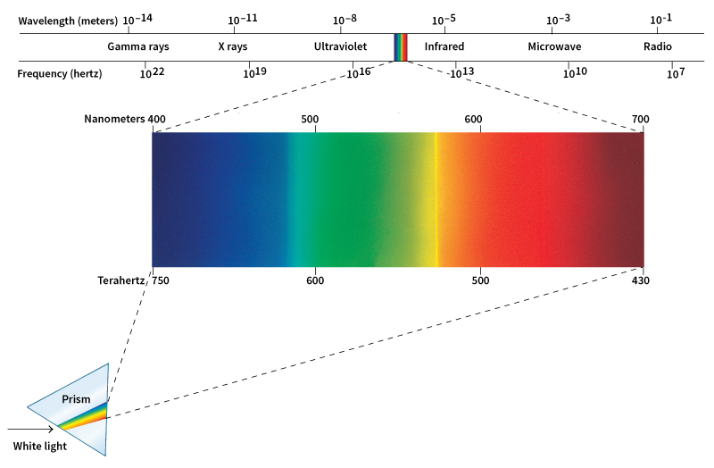 Visible light and the electromagnetic spectrum