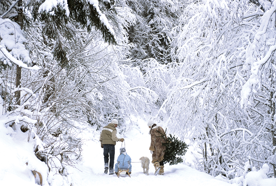 Family with Christmas tree