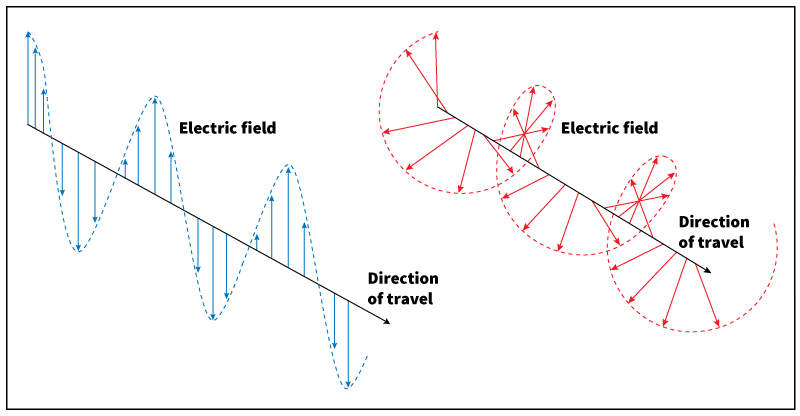 Electric fields of polarized light