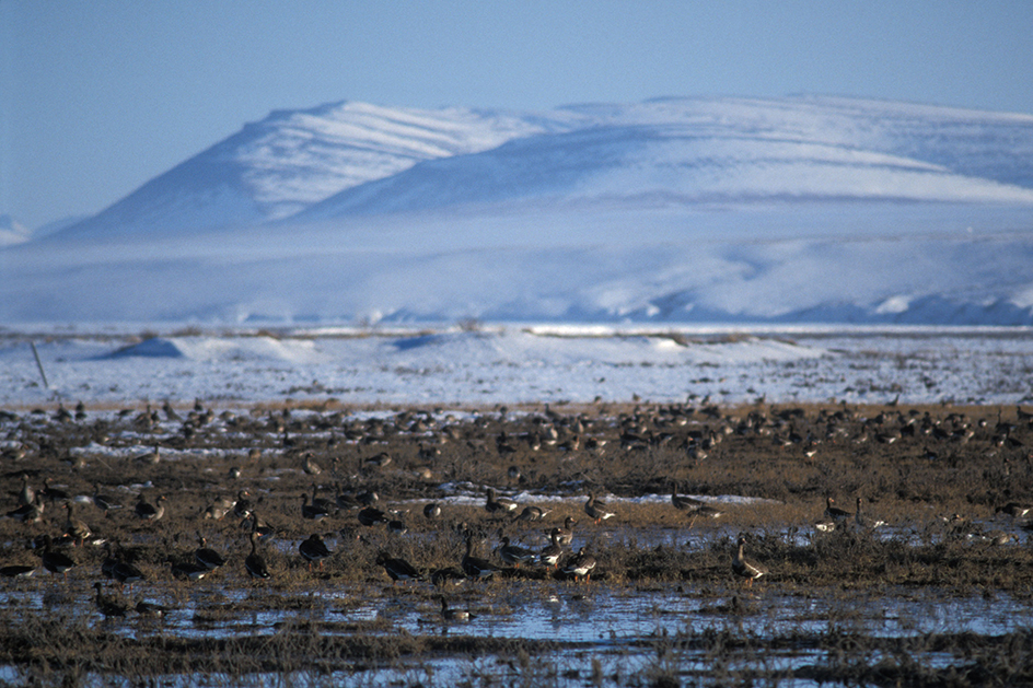 Brooks Range in Arctic National Wildlife Refuge