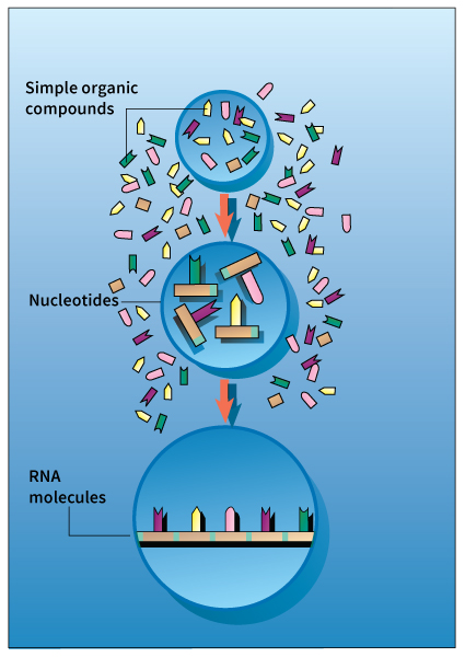 Origin of Life