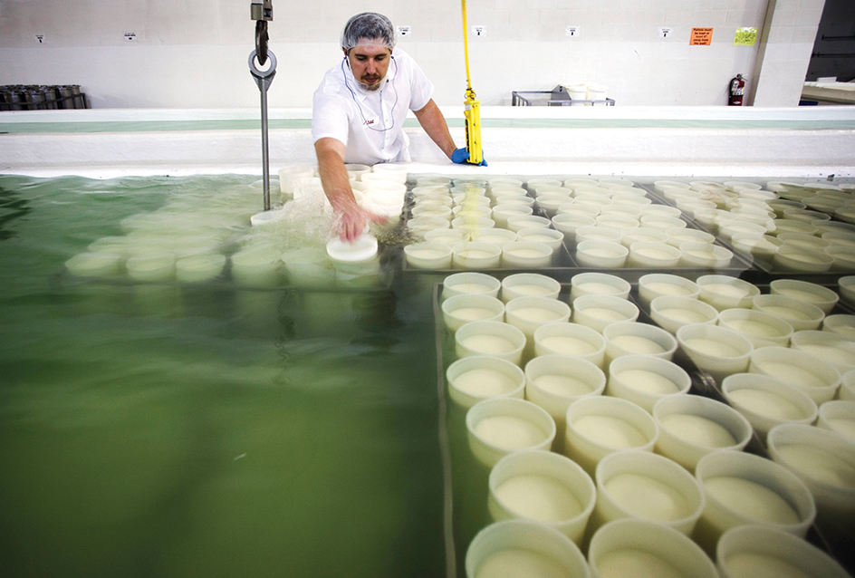 Preparing cheese in a Wisconsin plant