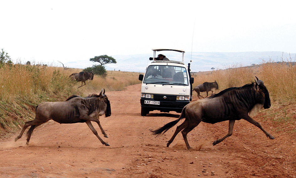 Tourist van in Kenya